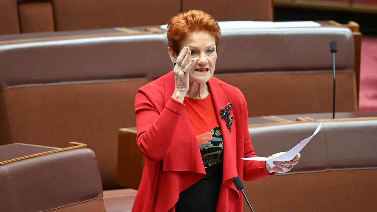 One Nation leader Pauline Hanson