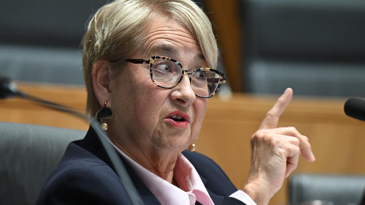 Greens senator Barbara Pocock