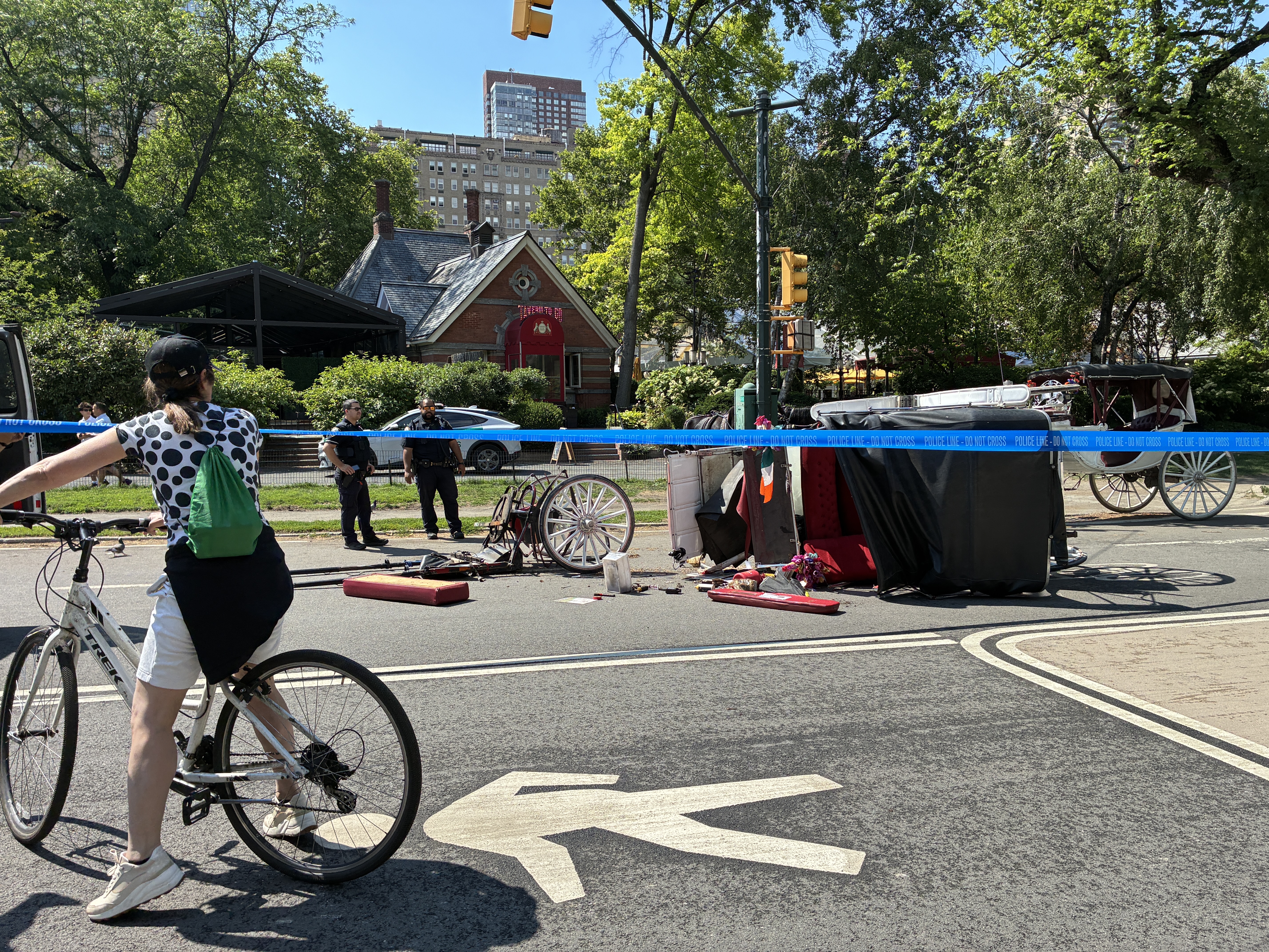 The aftermath of Wednesday's fatal horse carriage crash in Central Park.