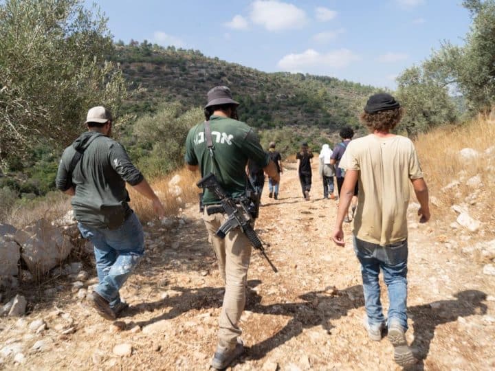 JNF