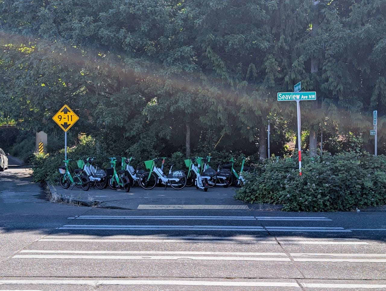 Metro Launches Summer Bus from Ballard to Golden Gardens