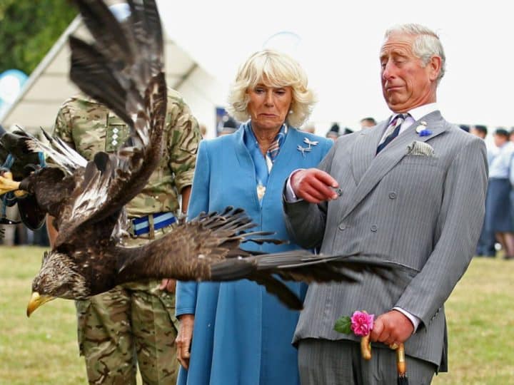 Royal Family