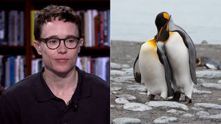 Seg2 splits page penguin