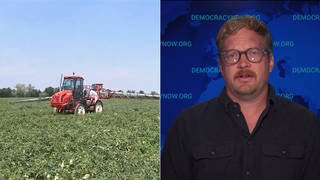 Seg4 splits monsanto