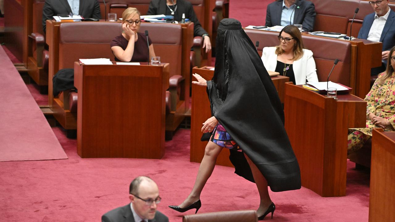 One Nation Leader Pauline Hanson wears a burqa in parliament.