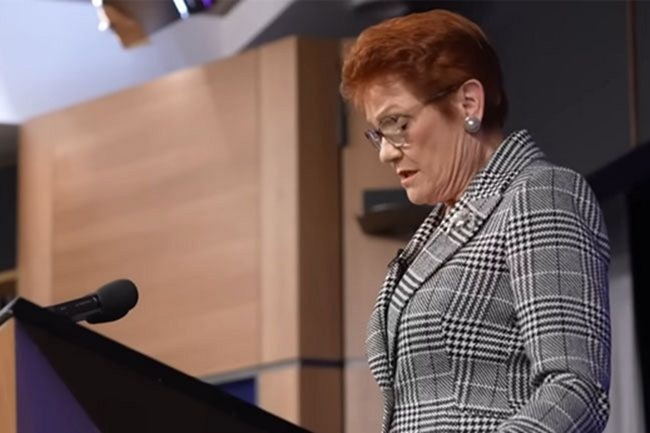 The A to Z of who Pauline Hanson does and does not represent