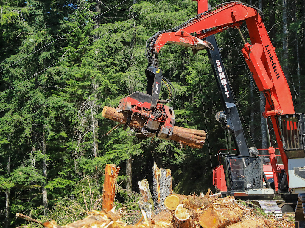 A harvester crane processes a log on a thinning project in the Mount Baker-Snoqualmie National Forest in Washington state. A new lawsuit targeting a timber harvest in Oregon could upend management of federal lands across the West. (Photo courtesy of Washington State Department of Natural Resources)