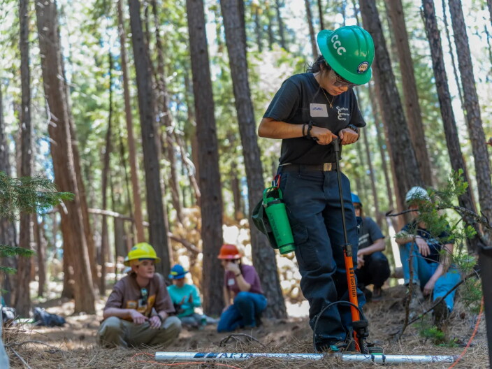 A conservation worker wearing a green hard hat operates a soil-testing or planting tool on a forest floor covered with pine needles. Several other crew members wearing safety helmets sit or kneel in the background among tall trees, watching the field activity.