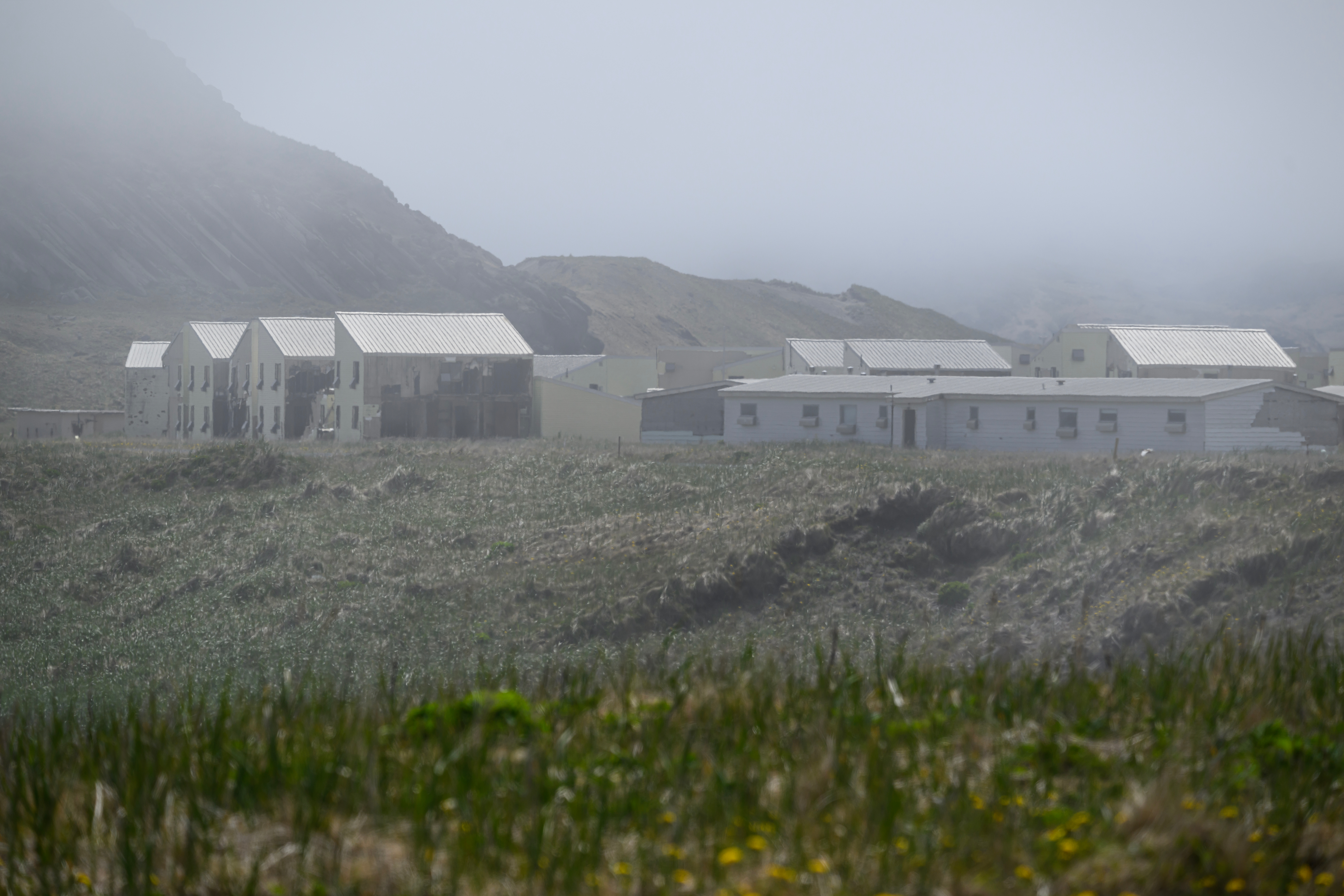 Gray fog hangs over a row of houses on a hillside with a mountain in the distance. Long green grass grows in the foreground.