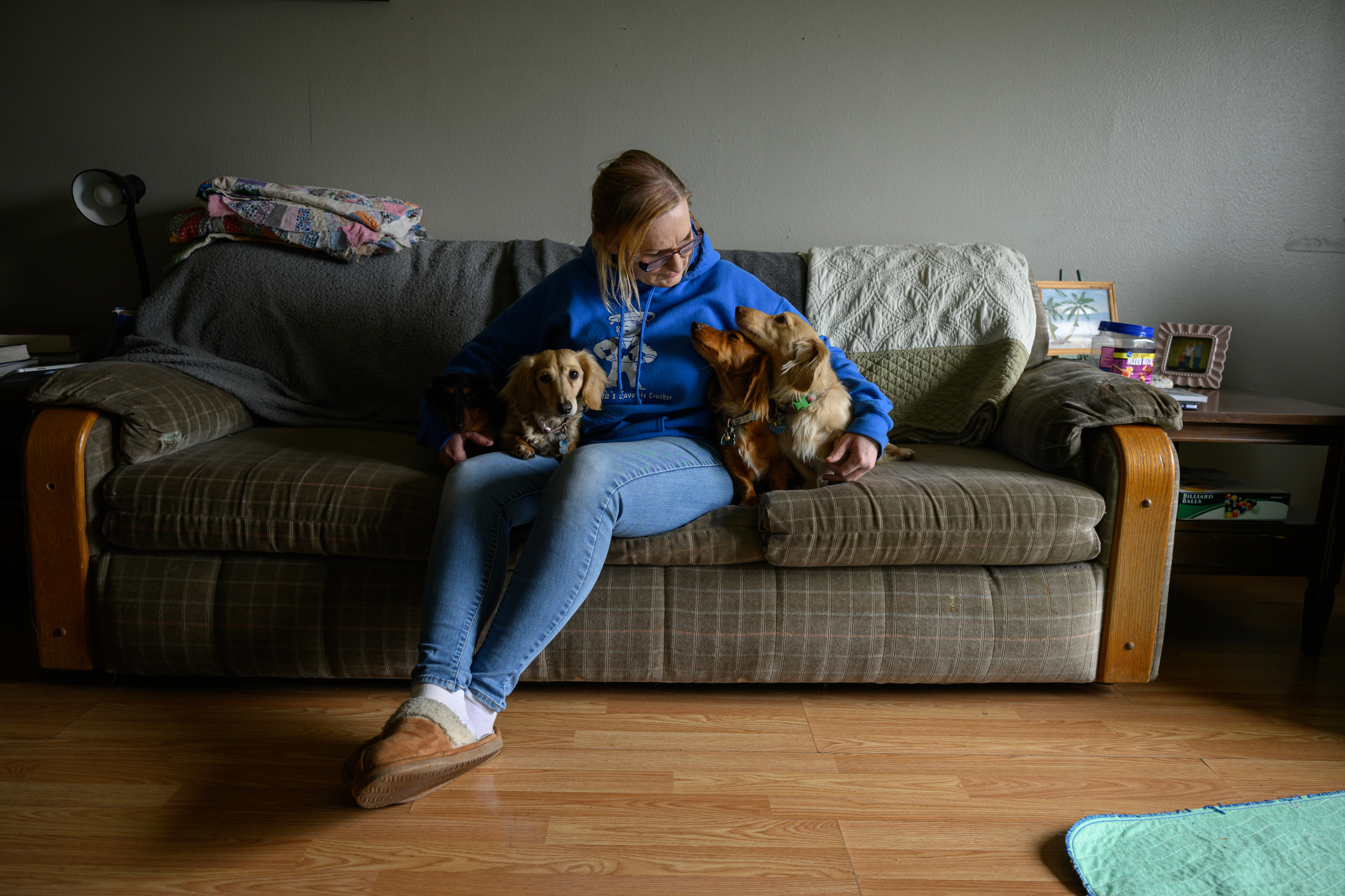 A woman wearing jeggings, a blue sweatshirt and glasses sits on a gray couch and looks down at three brown dachshunds sitting next to her. Framed pictures sit on the end table, and the floor is wood paneling.