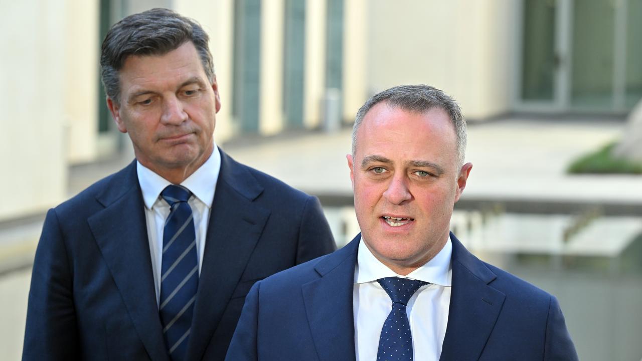 Angus Taylor and Tim Wilson (file image)