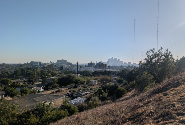 A view of downtown Los Angeles from a hillside.