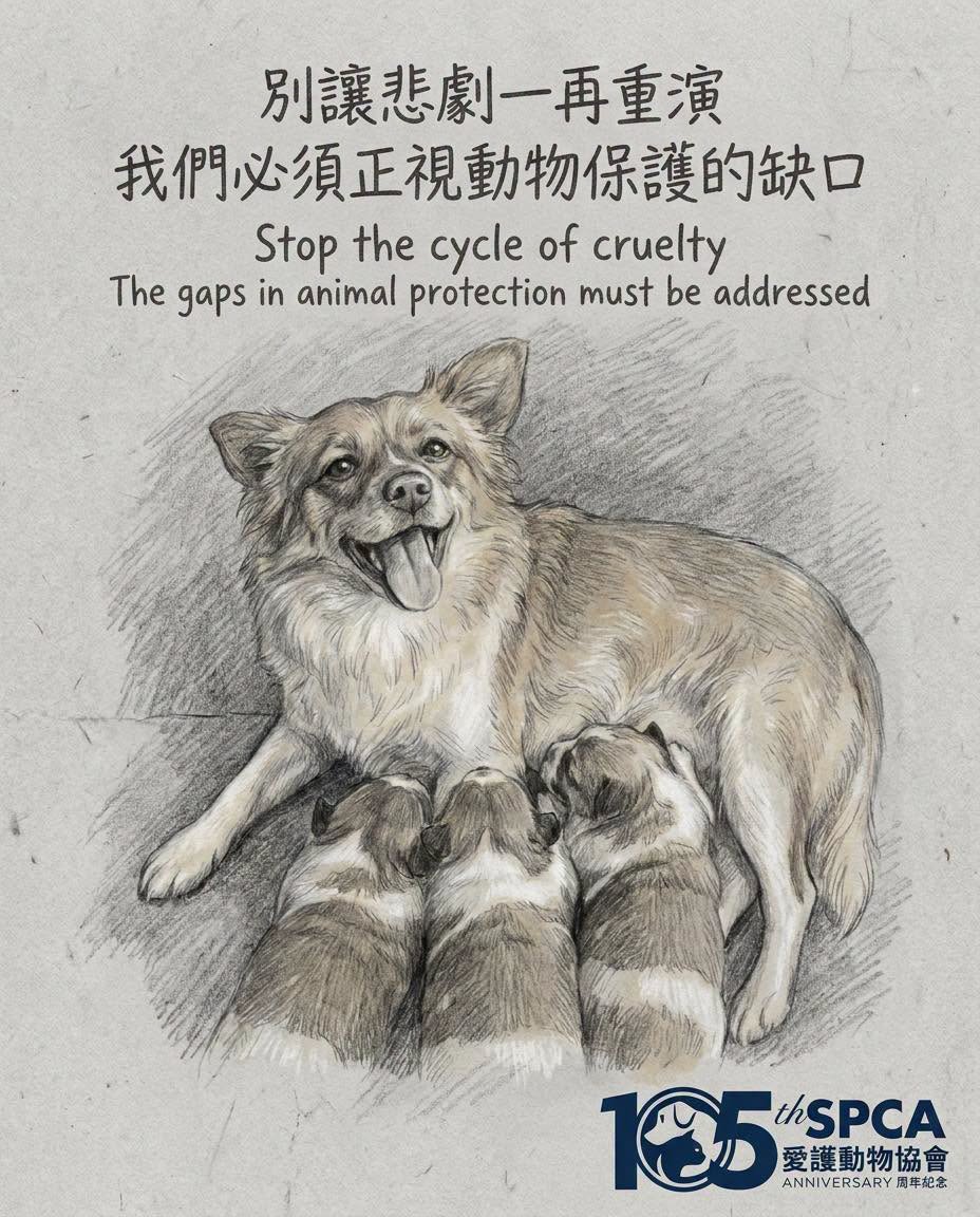 An SPCA poster depicting a dog and her puppies that were killed in a village in mainland China, posted on July 15, 2026. Photo: SPCA.