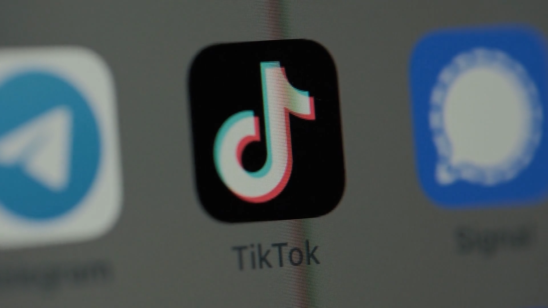 How Social Media & TikTok Shape Body Image