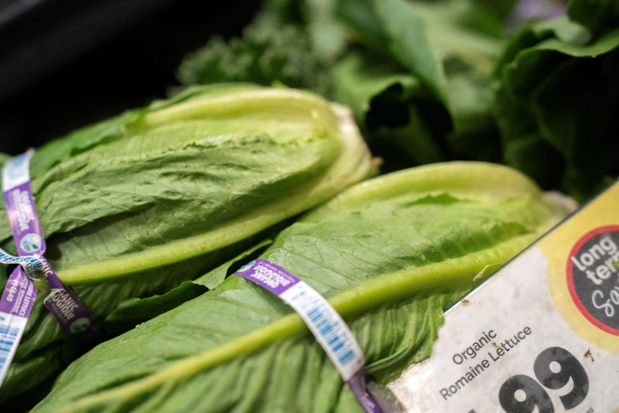 Cyclospora, salmonella cases raise food safety concerns