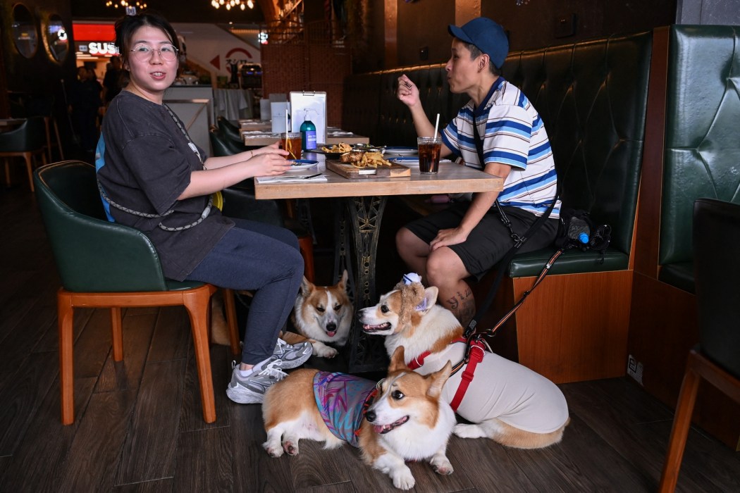 Dog owners Magic Wong (R) and Anny Li (L) eat lunch with their pet corgis at the dog friendly restaurant.