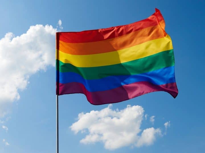 LGBTQ+ Pride flag, Labour