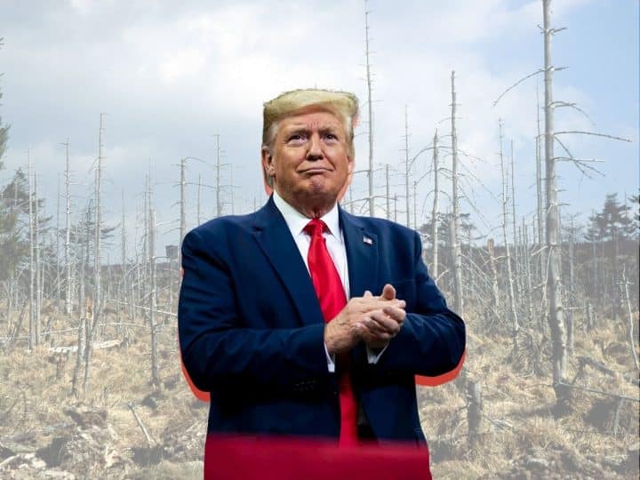 Donald Trump and an image showing the impacts of acid rain