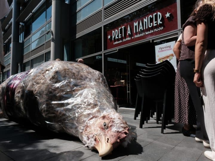 A frankenchicken prop outside Pret in Spitalfields