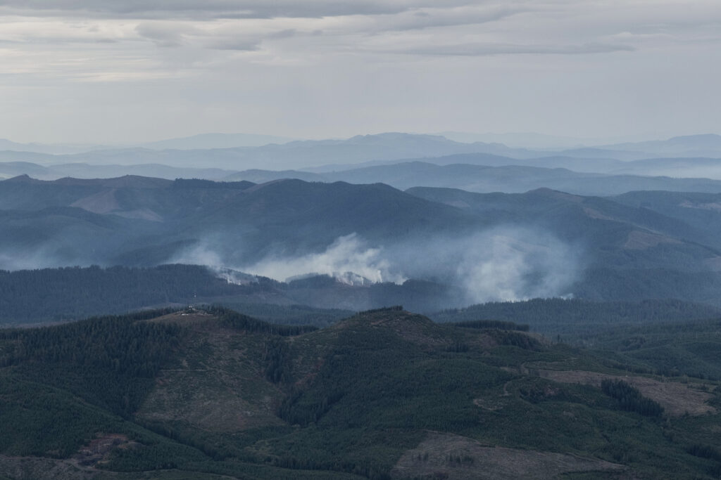 Slash piles burn after clearcutting near the Tillamook State Forest in western Oregon, on Friday, Oct. 13, 2023. (Jordan Gale / Oregon Capital Chronicle)