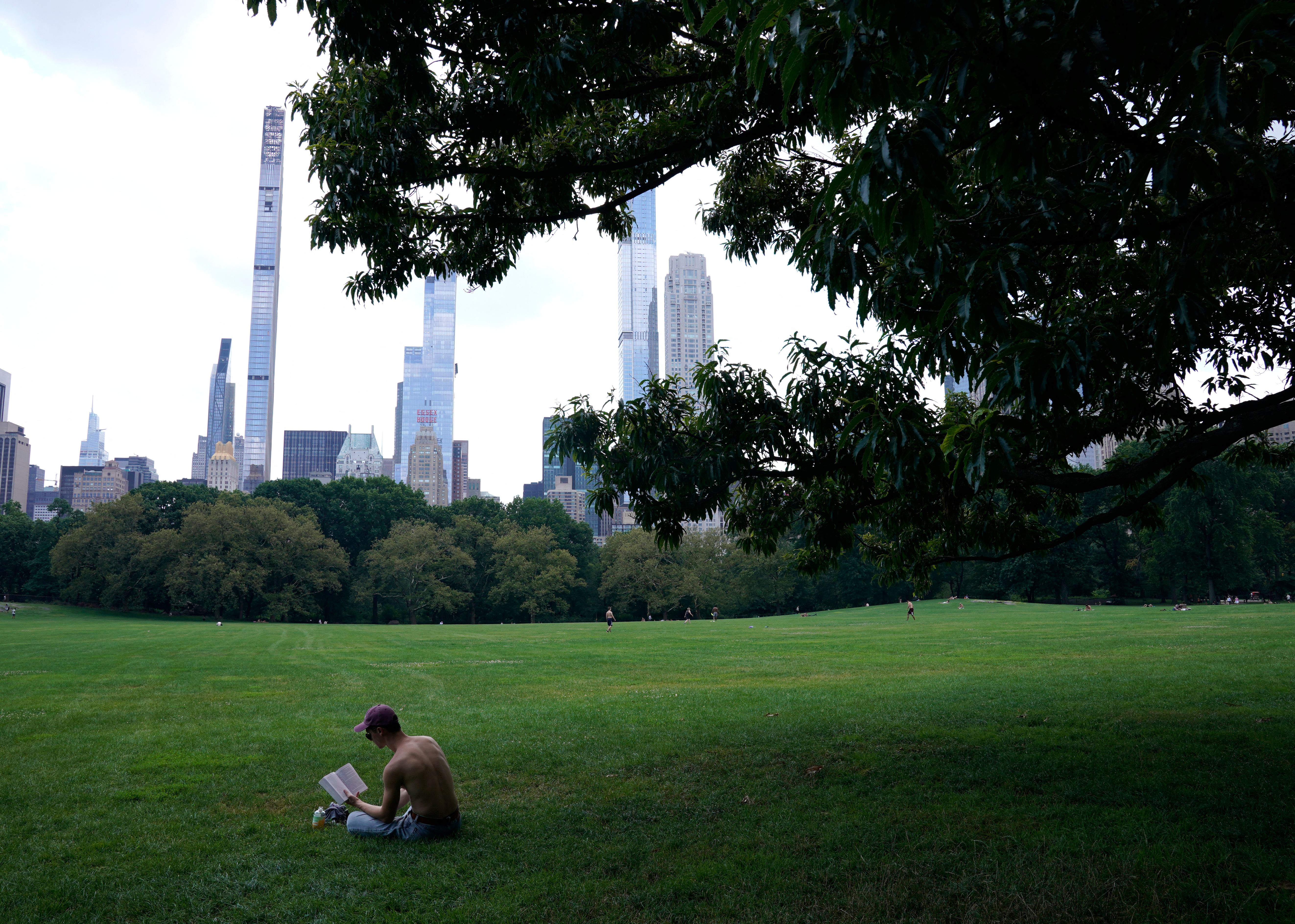 A man reading a book in central park