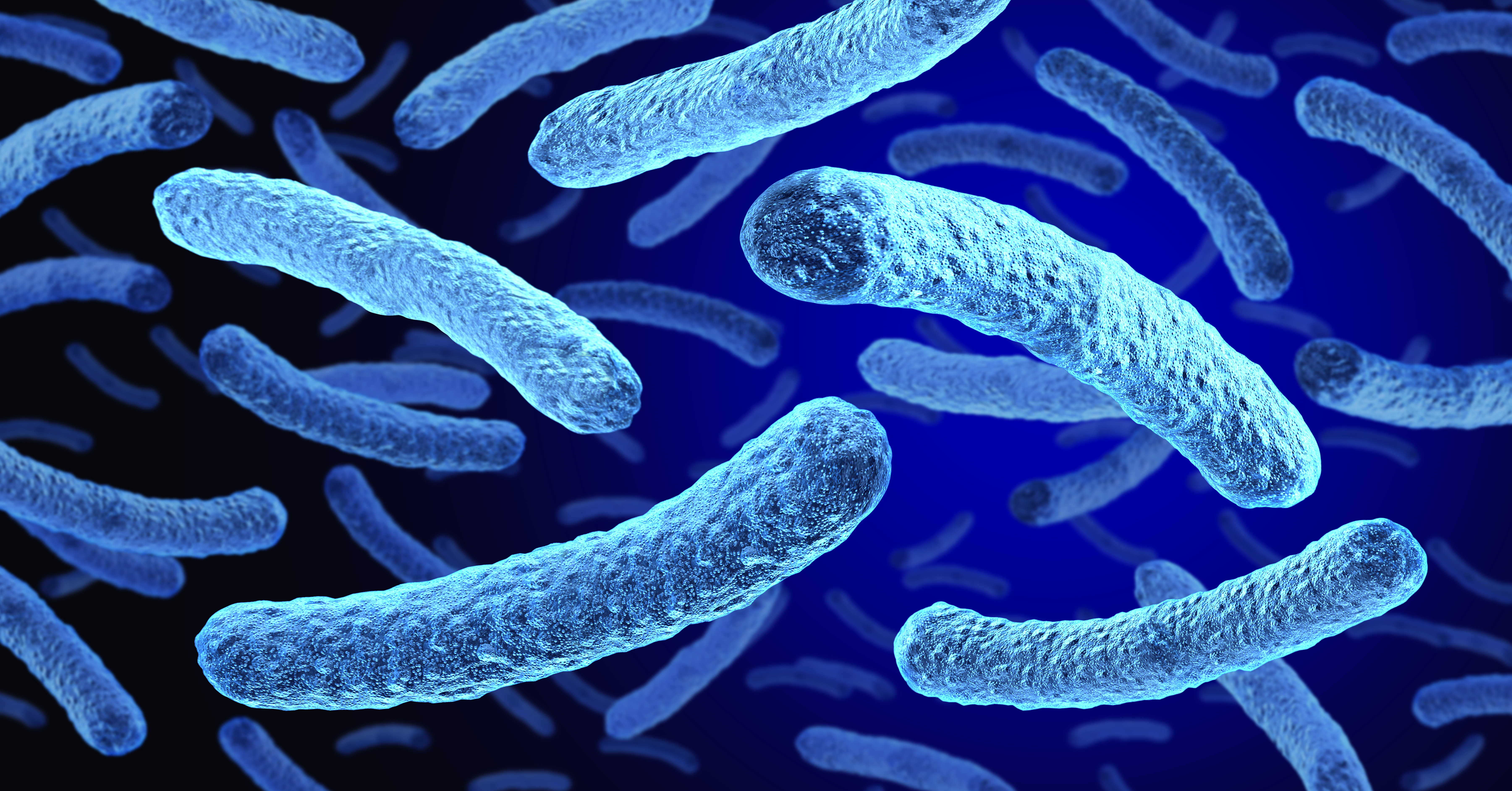 Legionella pneumophila bacteria causing respiratory illnesses as Legionnaires disease as a a serious form of pneumonia as a pathology microbiology and Epidemiology for antibiotic treatment.