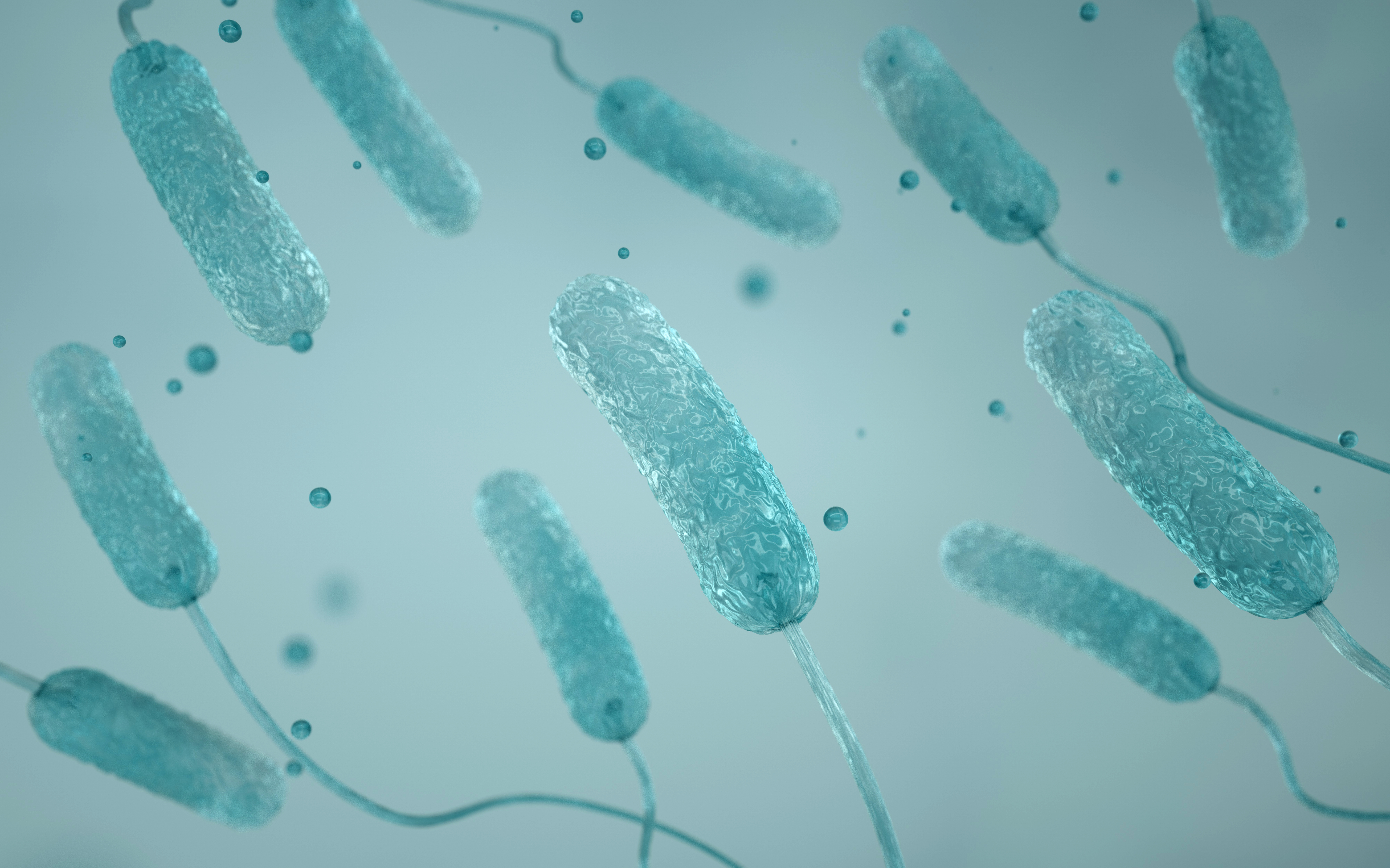 Virus, legionnaires disease, bacteria or germ, pneumonia, pathogen, 3D render.