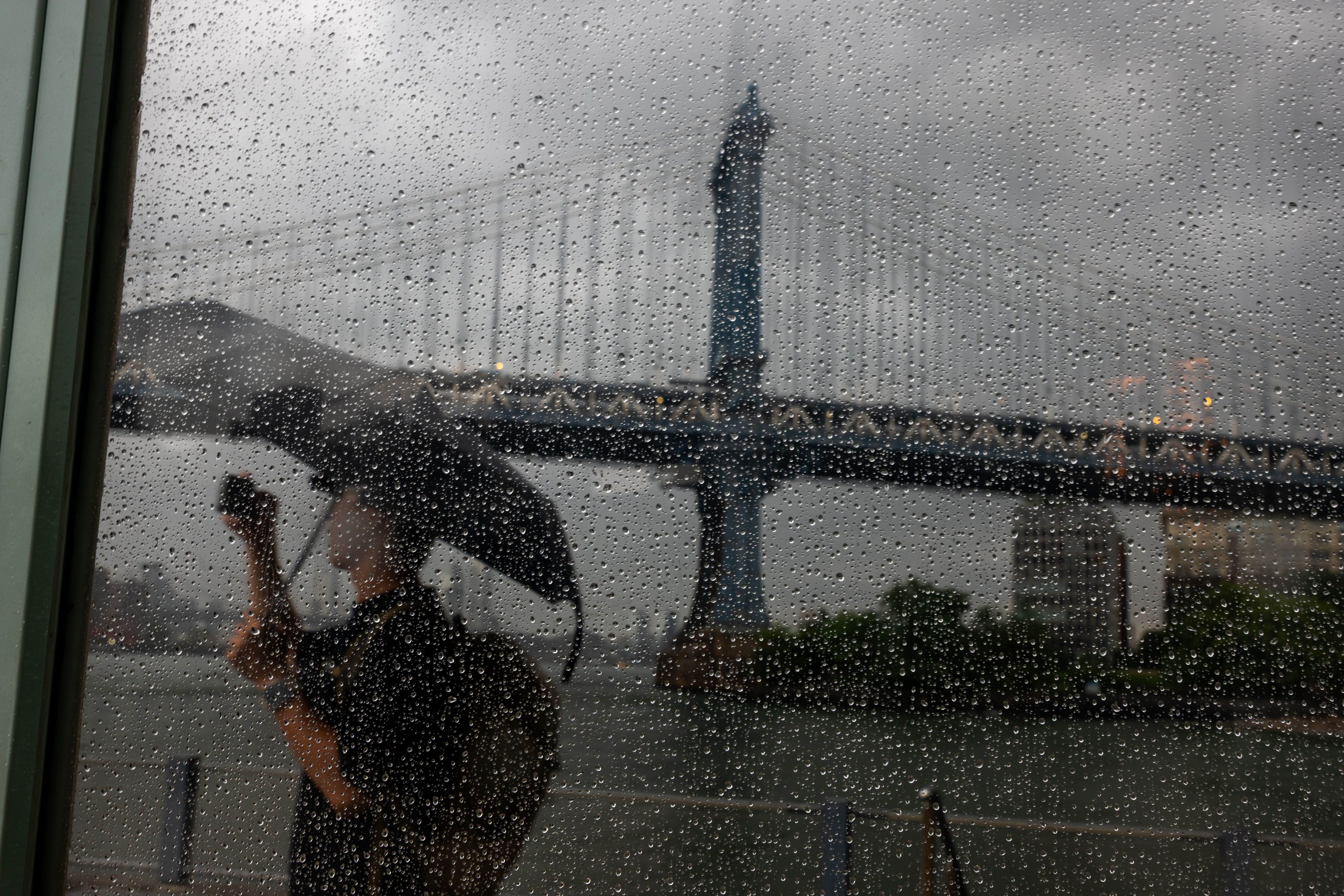 Rainy Dumbo