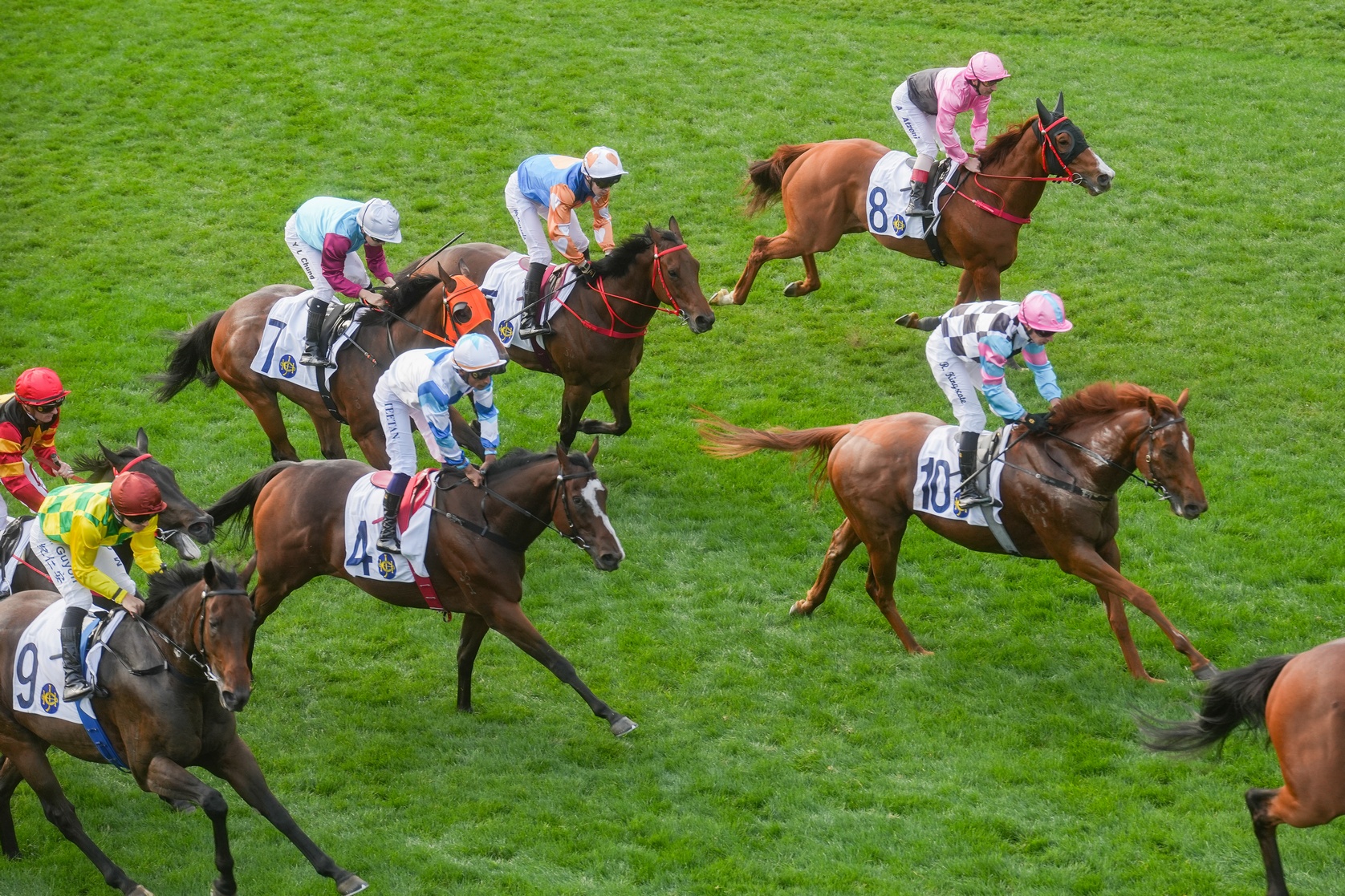 The first race of the Lunar New Year on February 19, 2026, at Sha Tin Racecourse. Photo: Kyle Lam/HKFP.