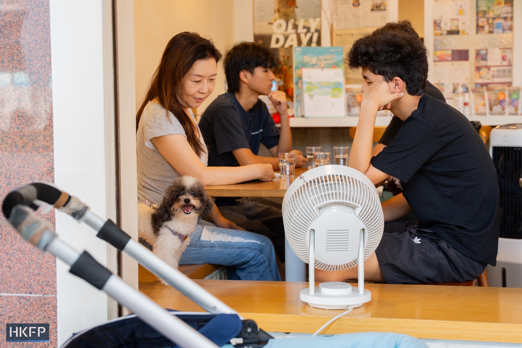 Pet dogs inside Wan Land Mori cafe in Kowloon City on July 12, 2026. Photo: Kyle Lam/HKFP.