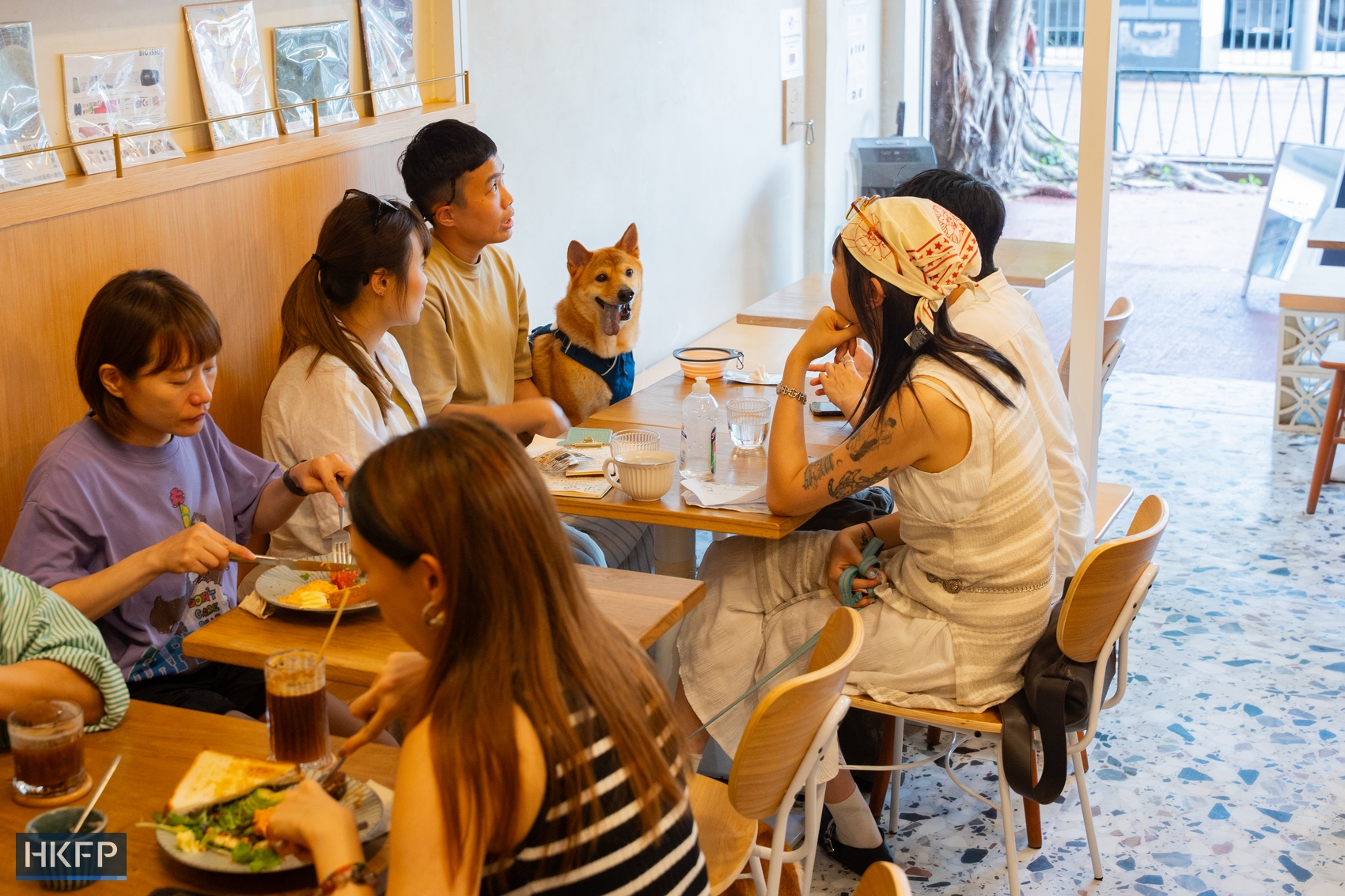 Pet dogs inside Wan Land Mori cafe in Kowloon City on July 12, 2026. Photo: Kyle Lam/HKFP.