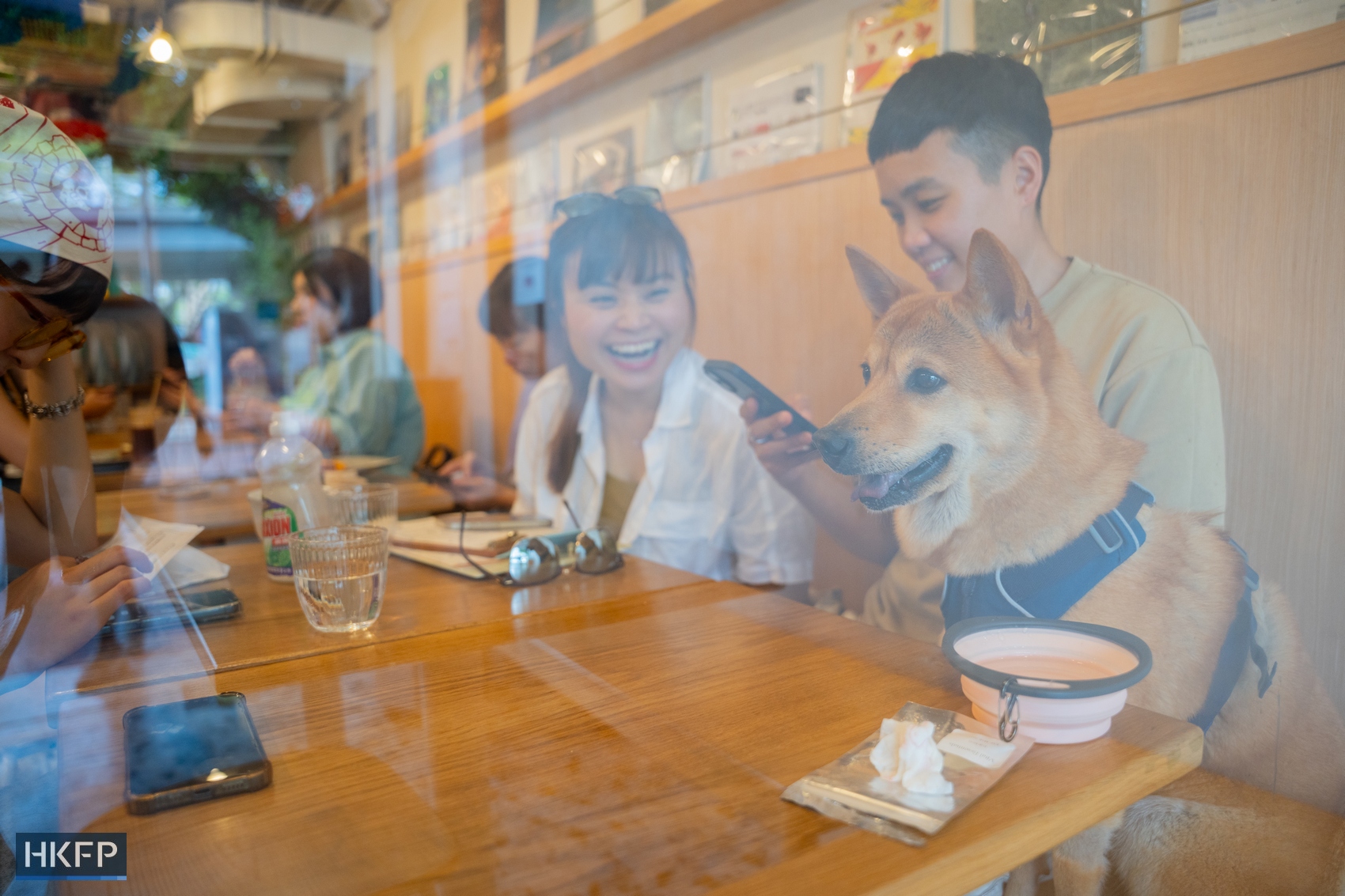 Pet dogs inside Wan Land Mori cafe in Kowloon City on July 12, 2026. Photo: Kyle Lam/HKFP.