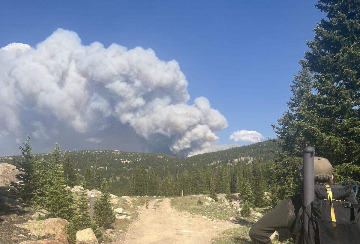 A view from a Leadville trail as smoke rises from the Willow fire.