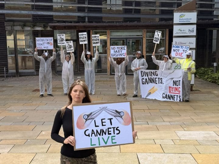 Guga hunt protest outside NatureScot HQ