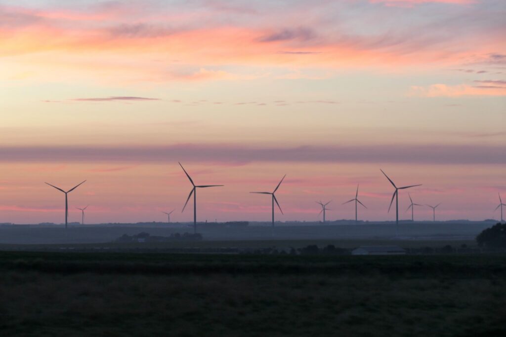Wind turbines in southwest Minnesota in 2024. The Trump administration has halted Department of Defense reviews for onshore wind turbines, freezing scores of projects. (Photo by Max Nesterak/Minnesota Reformer)