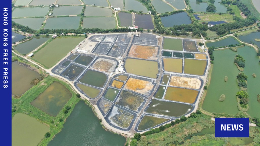 Large swathes of aquaculture farms have been found inside a protected wetland area in Hong Kong's northern metropolis. Photo: Greenpeace.