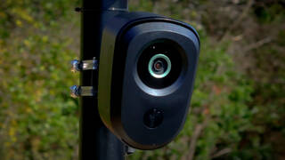 Seg3 flock cam 2