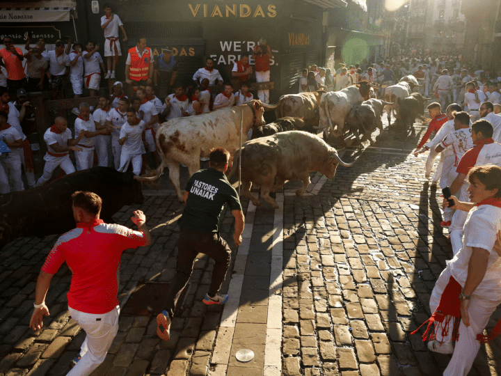 Revellers sprint next to bulls during the San Fermin festival in Pamplona, Spain. The festival is best known for the Running of the Bulls, where each morning runners sprint alongside six fighting bulls over an 875-meter (0.54-mile) course to the bull ring.