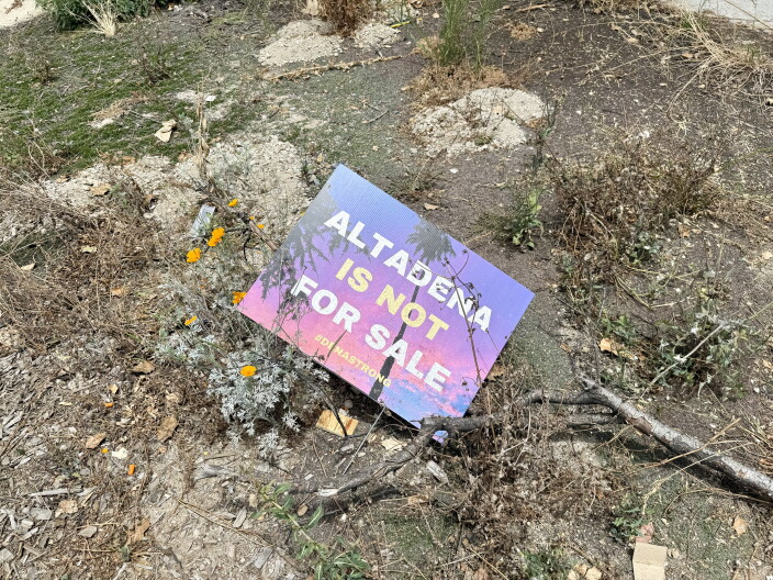 A blue and purple sign reads "Altadena is not for sale." It lies on the ground amid weeds, poppies and dead plant material.