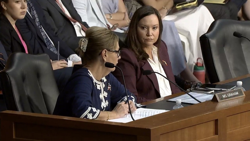 Sen. Darline Graham, R-S.C., speaks at a meeting of the Senate Judiciary Committee on Thursday, July 23, 2026. (Screenshot from committee webcast)