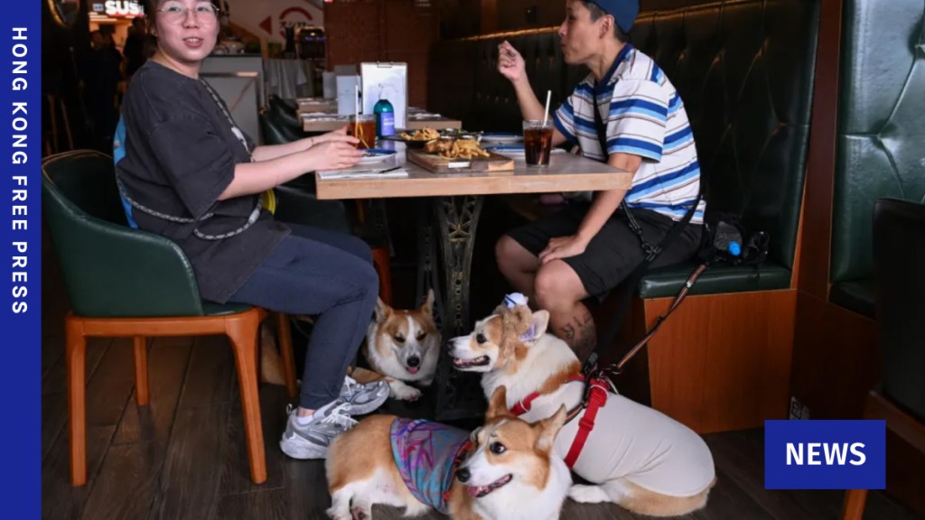 dog restaurants