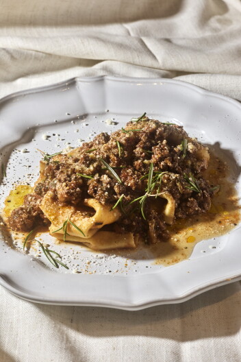 A white porcelain plate holds a beautifully laid out dish of pasta and a beef ragu.