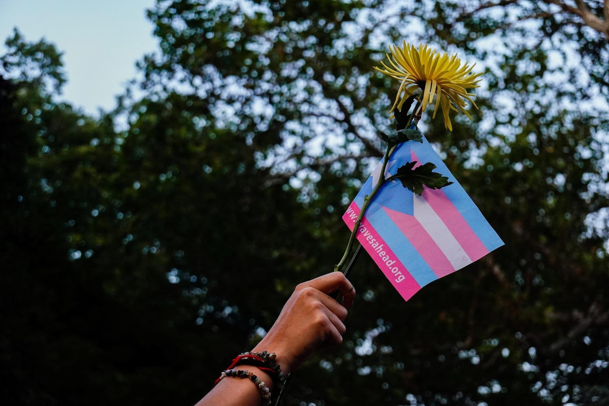 Trans advocates refocusing efforts after court defeats