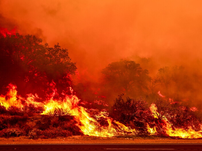 A wildfire burns through brush, filling the sky with smoke and enveloping trees in the background.