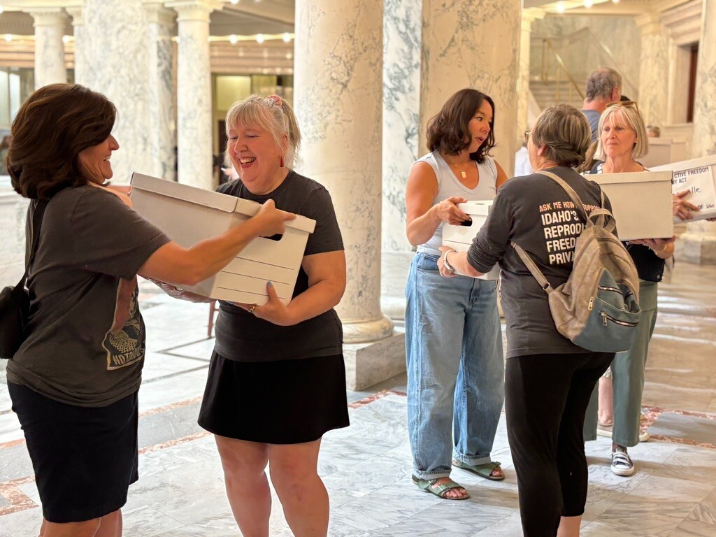 Volunteers pass boxes full of signed ballot initiative petitions through the Idaho Capitol on July 2. If approved for Novemberβs ballot and then by voters, the proposed Reproductive Freedom and Privacy Act would restore abortion access βwithout government interferenceβ until fetal viability, and would protect fertility treatments and other reproductive care such as contraception. (Photo by Kelcie Moseley-Morris/Stateline)
