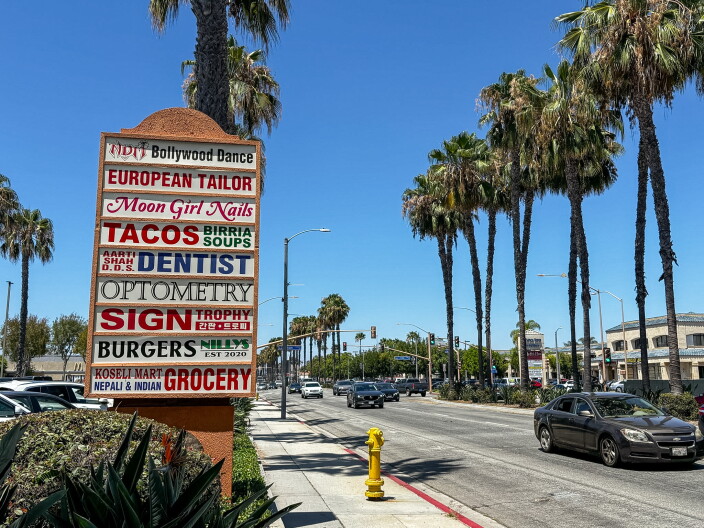 A tall strip mall sign on Pioneer Boulevard listing Bollywood Dance, European Tailor, Moon Girl Nails, Tacos Birria, a dentist, optometry, a sign shop with Korean text, Nilly's Burgers, and Koseli Mart Nepali and Indian Grocery, with palm trees and blue sky in the background.