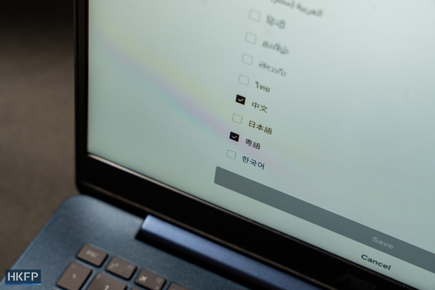 Subtitle settings on streaming platform Netflix. Photo: Kyle Lam/HKFP.