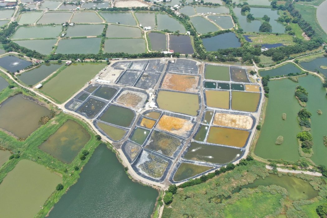 Large swathes of aquaculture farms inside a protected wetland area in Hong Kong's Northern Metropolis. Photo: Greenpeace.