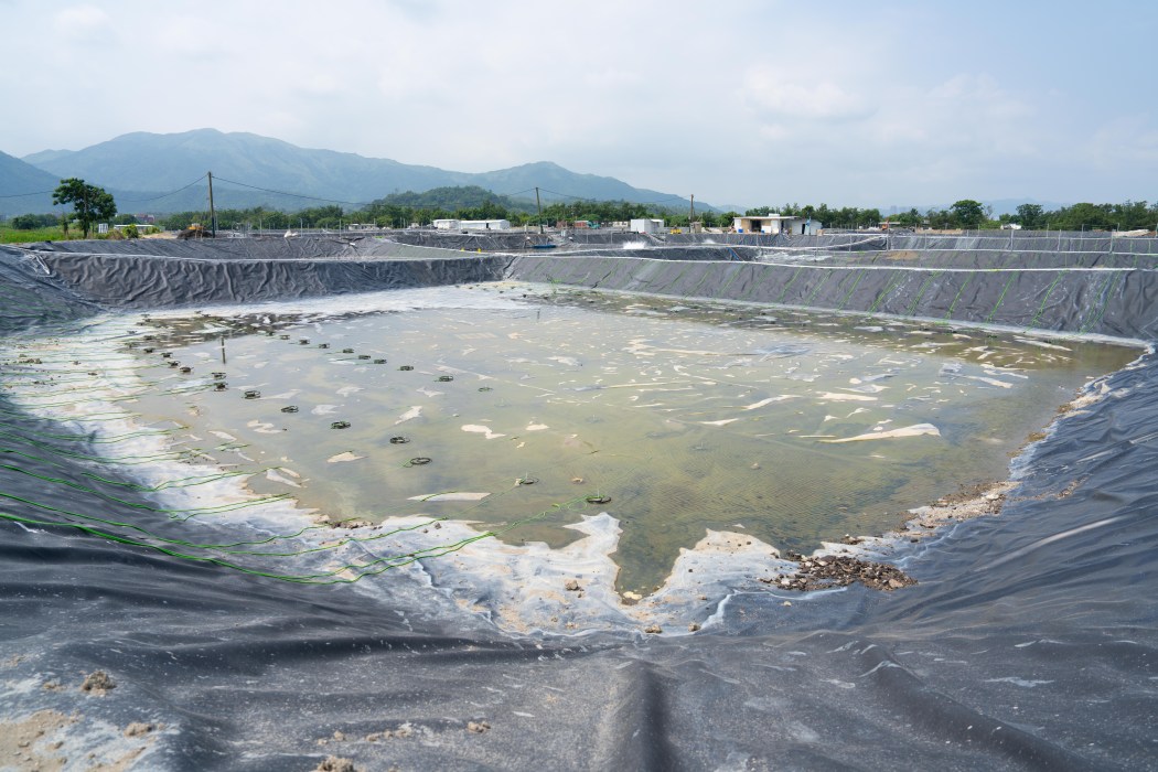 Aquaculture farms use waterproof tarps to cover soil in Hong Kong's northern metropolis. Photo: Greenpeace.