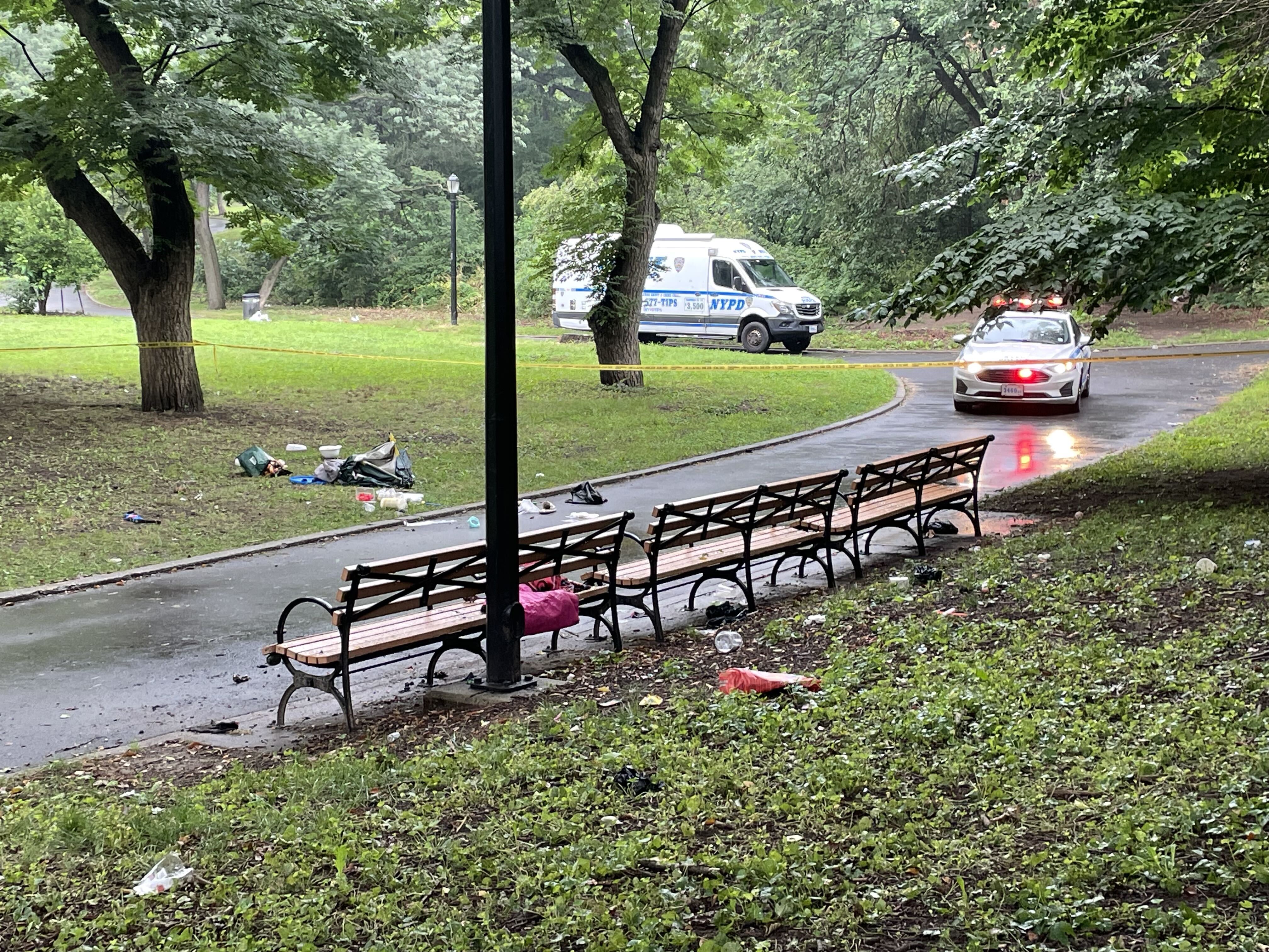 A crime scene in a park with an NYPD van and police car